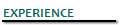 EXPERIENCE